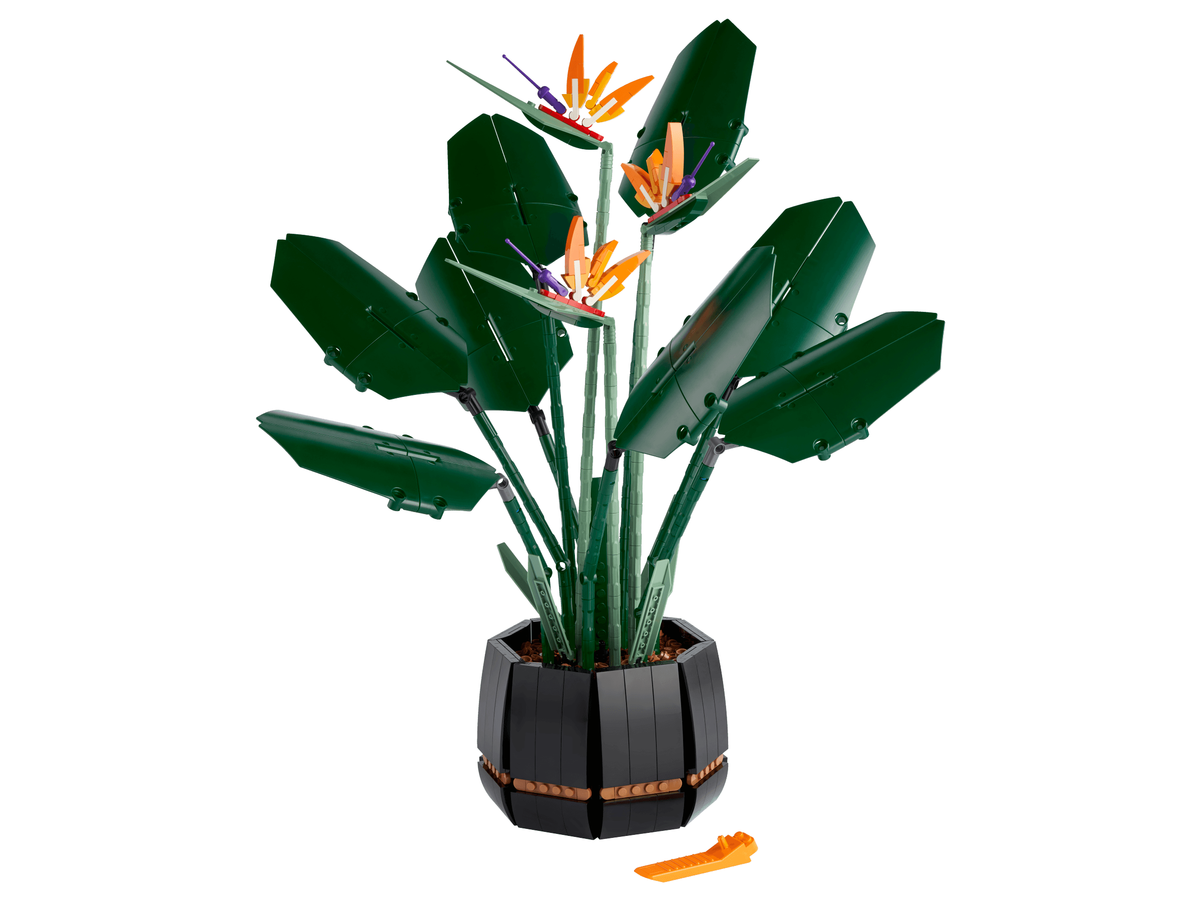 LEGO sættet Bird of Paradise