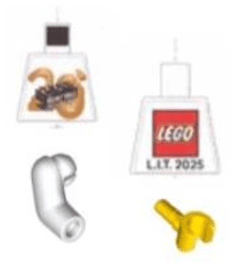 LEGO sættet The Inside Tour Torso
