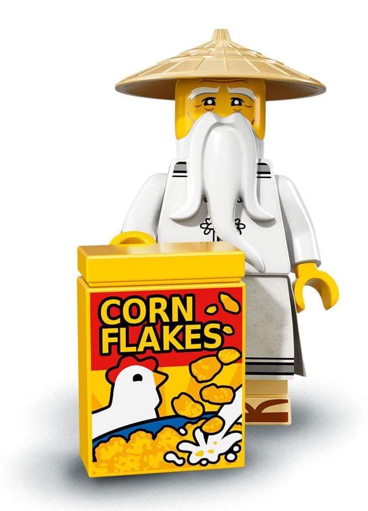 LEGO sættet Master Wu