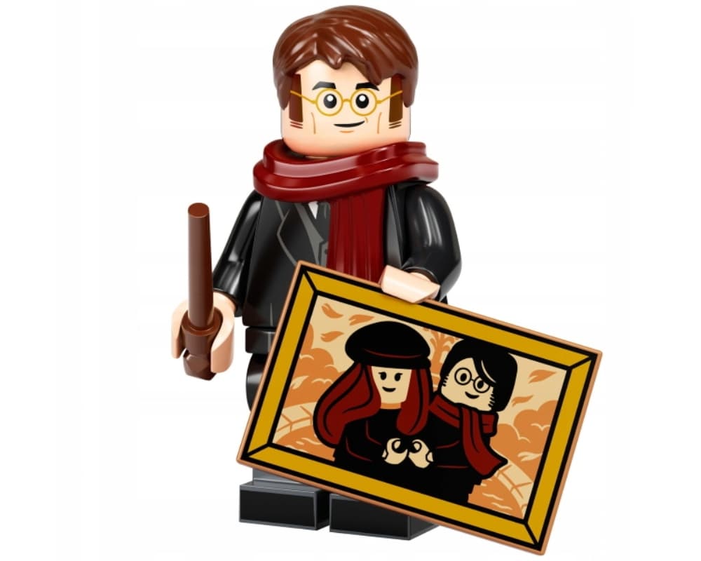 LEGO sættet James Potter
