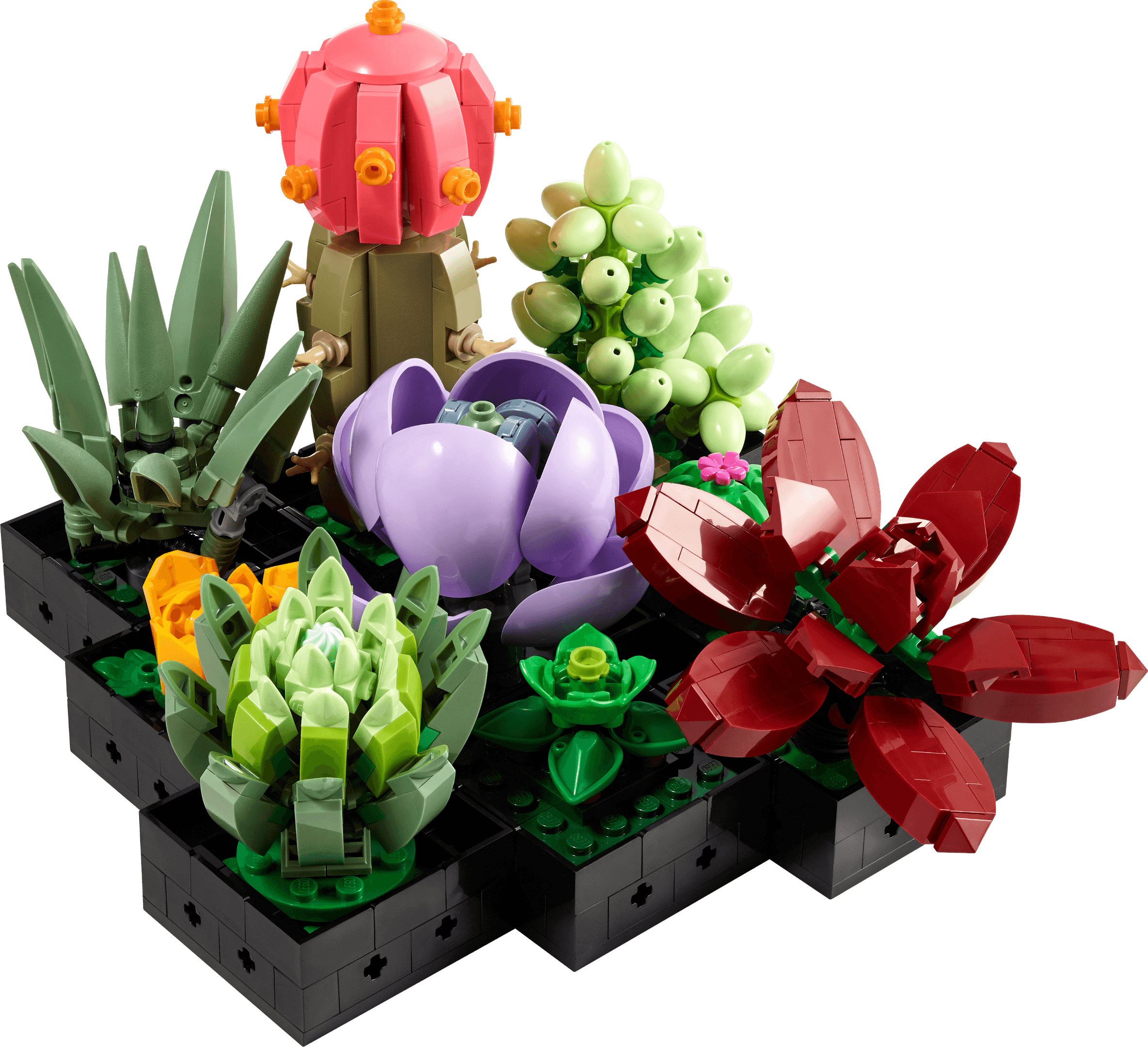 LEGO sættet Succulents