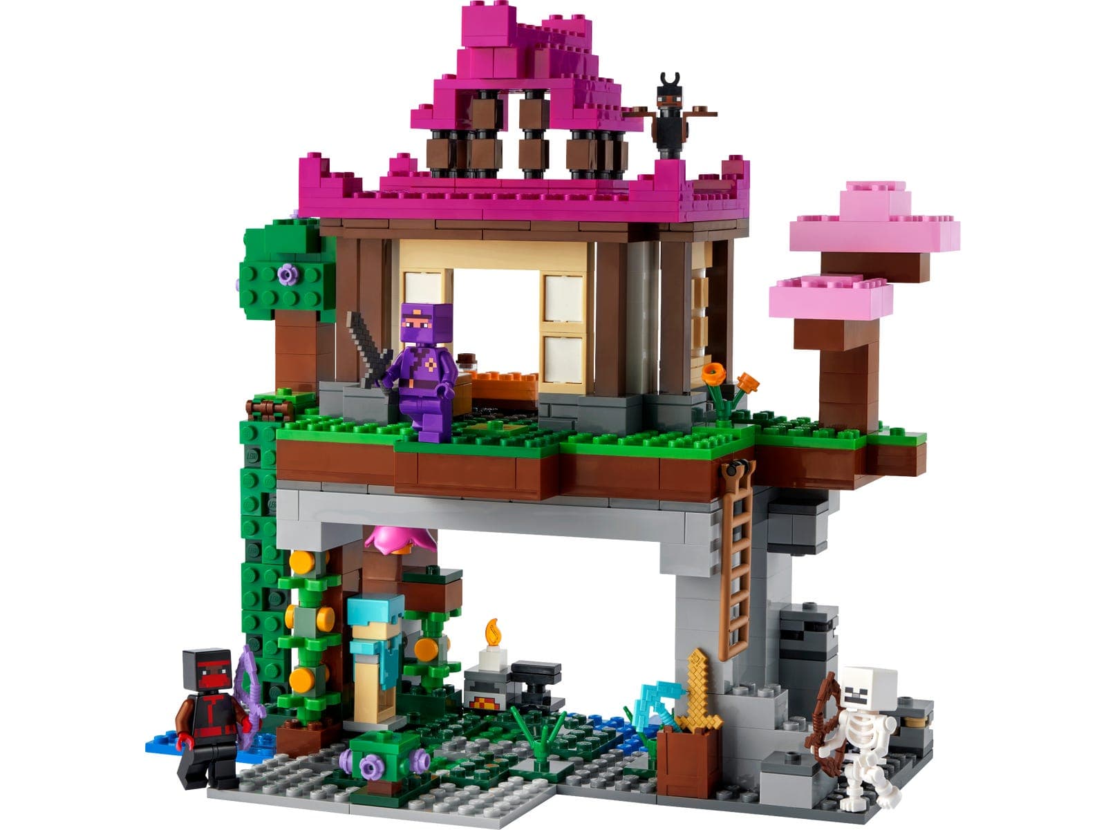 LEGO sættet The Training Grounds