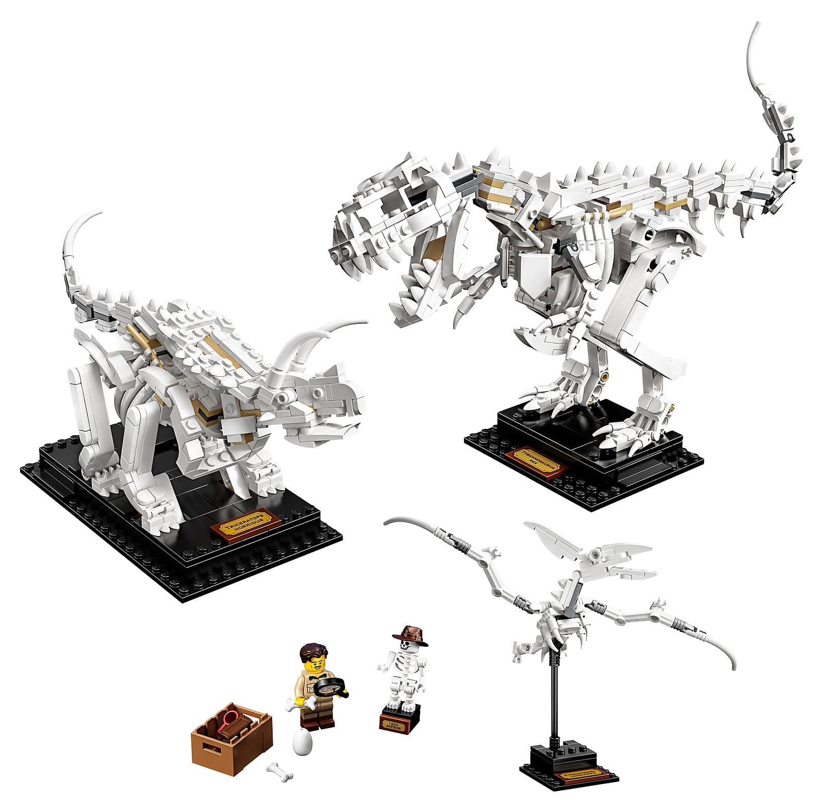 LEGO sættet Dinosaur Fossils