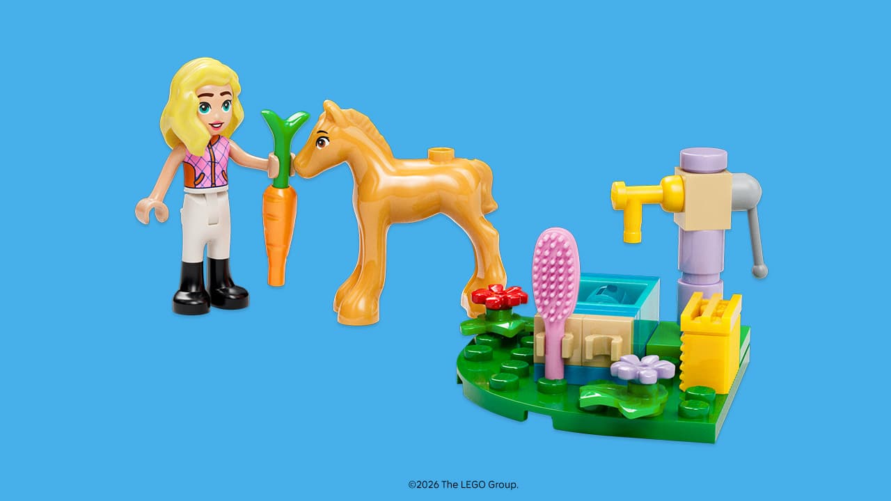 LEGO sættet First Friendship