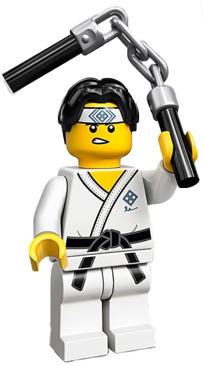 LEGO sættet Martial Arts Boy