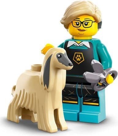 LEGO sættet Pet Groomer