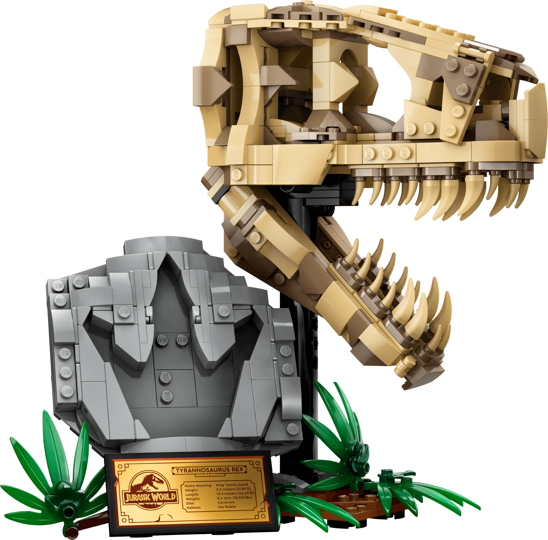 LEGO sættet Dinosaur Fossils: T. rex Skull