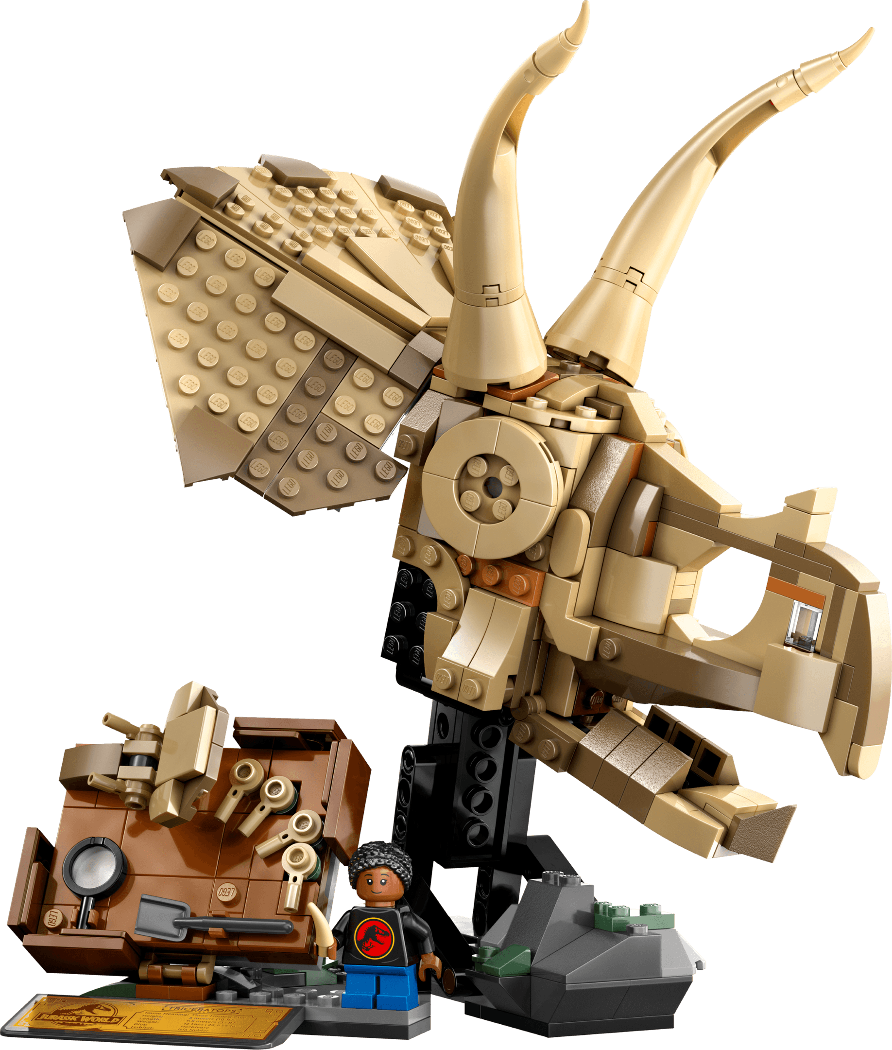 LEGO sættet Dinosaur Fossils: Triceratops Skull