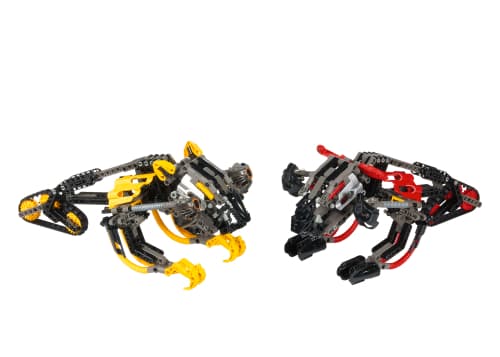 LEGO sættet Muaka and Kane-ra