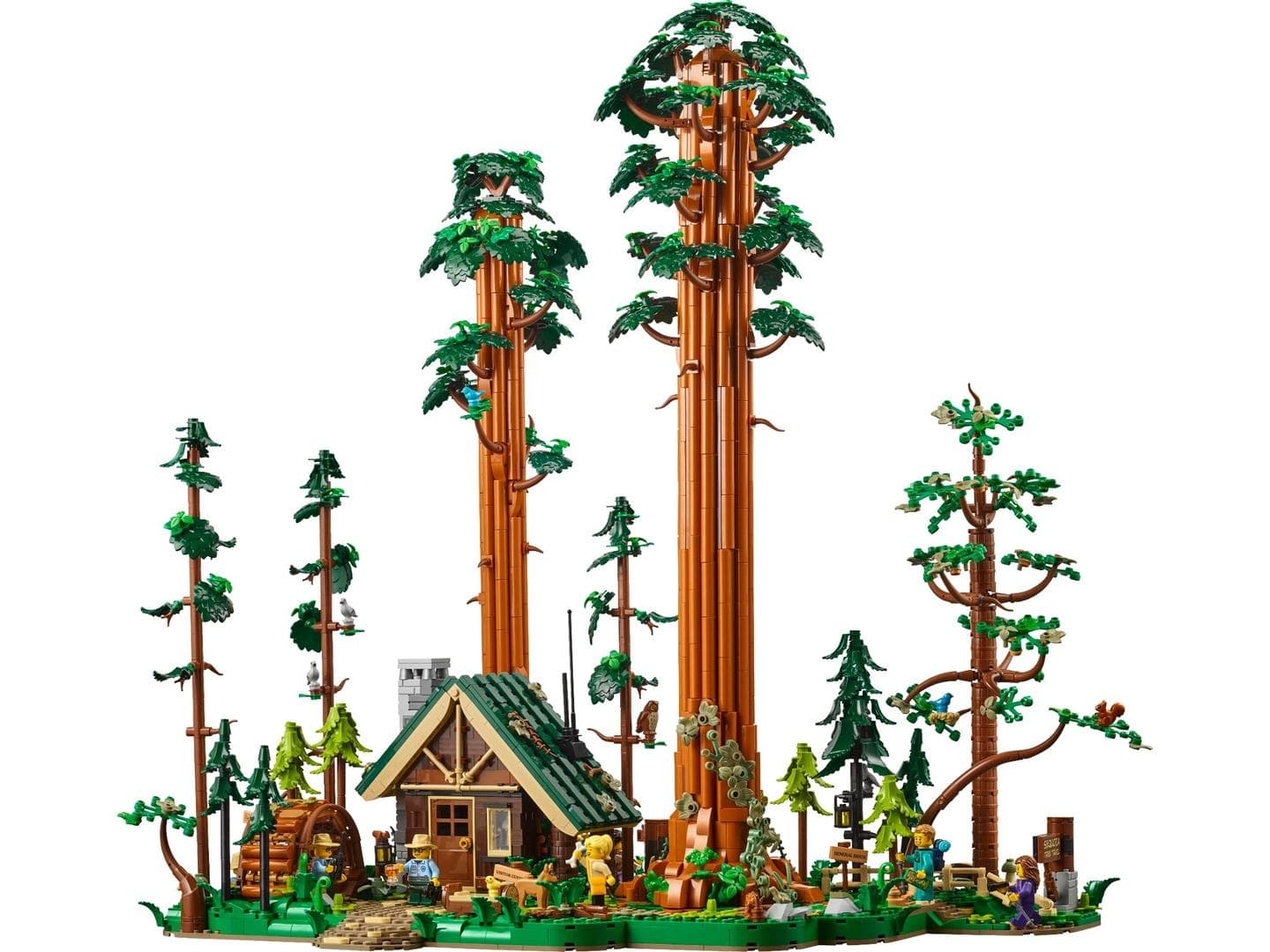 LEGO sættet Sequoia Tree Trail